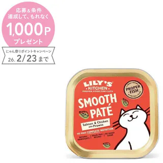 リリーズキッチン 本日のおすすめ・キャット85g×19個入り(個別日本語ラベルなし) C003CS【別送品】