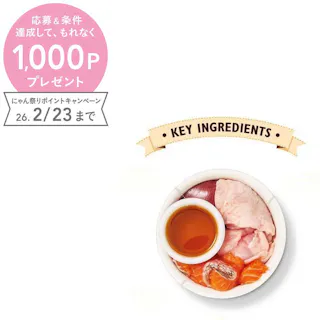 リリーズキッチン 好奇心旺盛な子猫のチキンディナー85g C005【別送品】