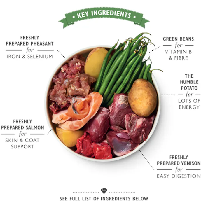 リリーズキッチン ヤセイのキャンプファイヤーシチュー・ドッグ150g D016【別送品】