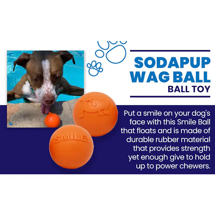 SodaPup SP スマイルボールMブライトオレンジ SPT-SB2-800【別送品】
