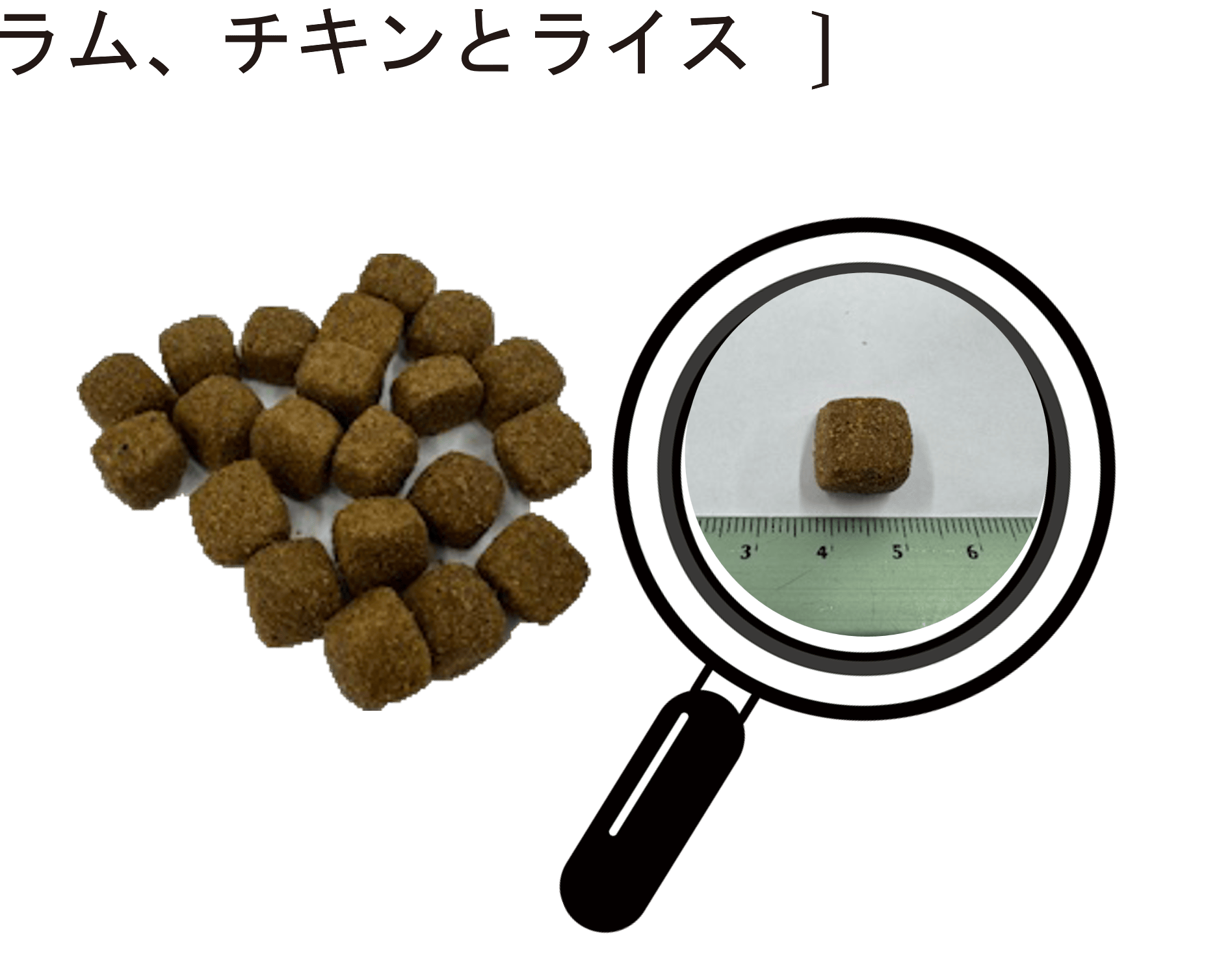 アルモネイチャー/ラム/2キロ×4 アルモネイチャー デイリー・ナチュラル ラム チキンとライス12kg