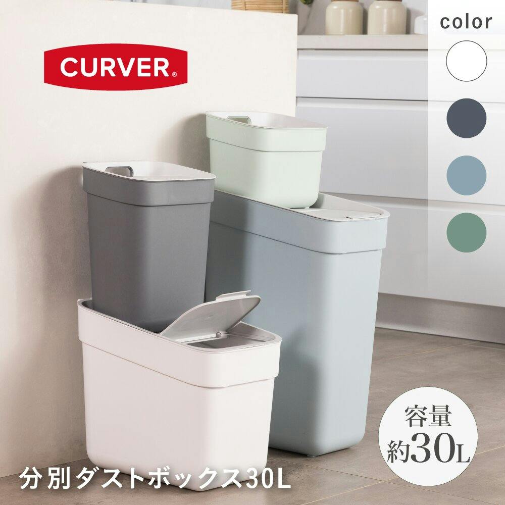藤栄 CURVER カーバーブンベツダストボックス 30L ホワイト 分別