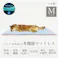 オーシン 透湿防水ペットマットレス 小型犬 中型犬 Mサイズ 50×70×4cm ブルー/グレー 室内・屋外 透湿防水 ペットマットレス オールシーズン Mサイズ 洗える 4958308364712【別送品】