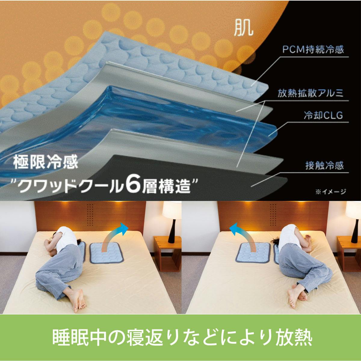 【お得！】BL研究所 不思議シート (大) 約40cm角 期間限定】不思議シート (大) 約40cm角＋不思議種～ 【BL研究所