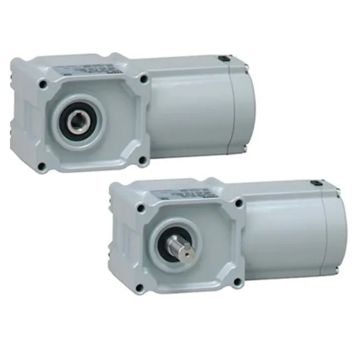 ニッセイ GTR MINI SERIES インダクションギアモータ (15W~90W) 同心中空軸 同心中実軸 F2タイプ F2SP-15-100-S40W K000054945 (CDC)【別送品】