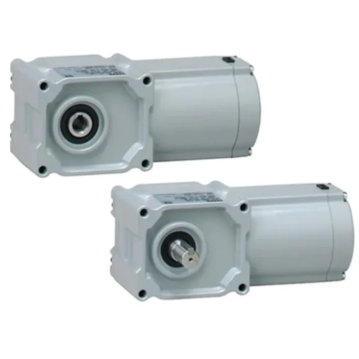 ニッセイ GTR MINI SERIES インダクションギアモータ (15W~90W) 同心中空軸 同心中実軸 F2タイプ F2FP-15L-20-S25 K000058792 (CDC)【別送品】