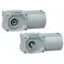 ニッセイ GTR MINI SERIES インダクションギアモータ (15W~90W) 同心中空軸 同心中実軸 F2タイプ F2FP-18T-120-S60C K000059218 (CDC)【別送品】