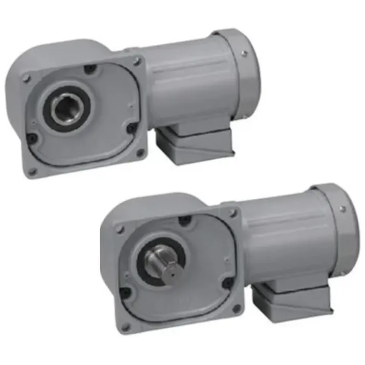 ニッセイ GTR MID SERIES インダクションギアモータ (0.1kW~2.2kW) 中空軸・中実軸 Fタイプ FS55N12X-MM04TNNTB2 K000078896(CDC)【別送品】