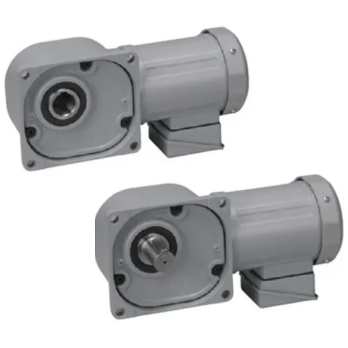 ニッセイ GTR MID SERIES インダクションギアモータ (0.1kW~2.2kW) 中空軸・中実軸 Fタイプ FF22L100-MM01TWNTB4 K000092804(CDC)【別送品】