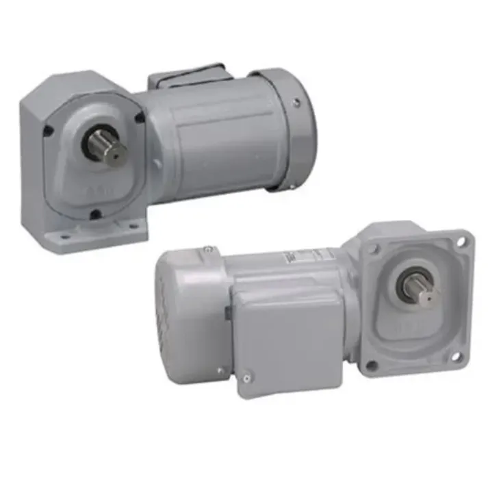 ニッセイ GTR MID SERIES インダクションギアモータ (0.1kW~2.2kW) 直交軸 H2タイプ H2L22M25-WM02TKNEV2(CDC) K000114900【別送品】