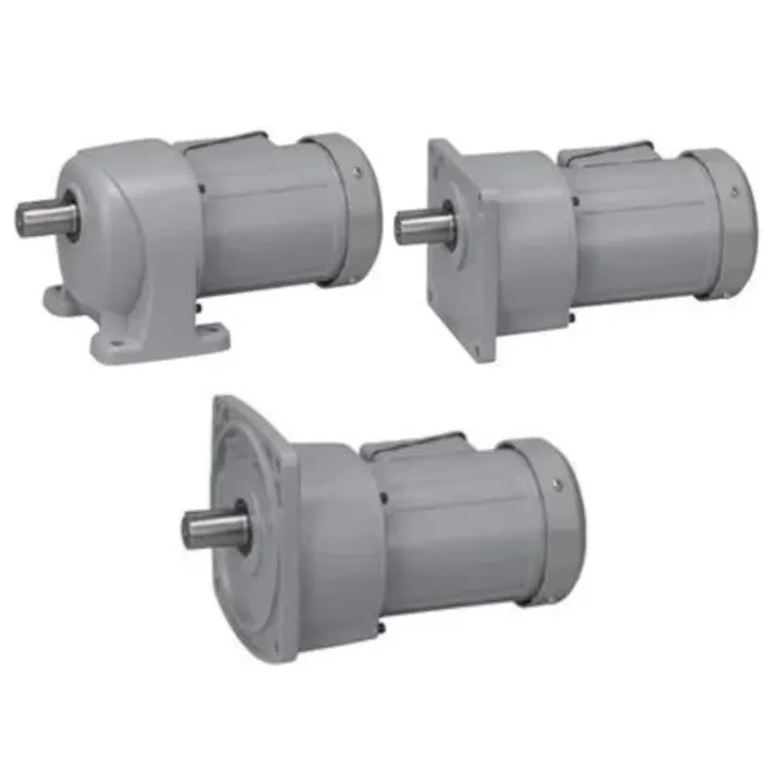 ニッセイ GTR MID SERIES インダクションギアモータ (0.1kW~2.2kW) 平行軸 G3タイプ G3L40S600-WM02TNNEV2(CDC) K000126182【別送品】