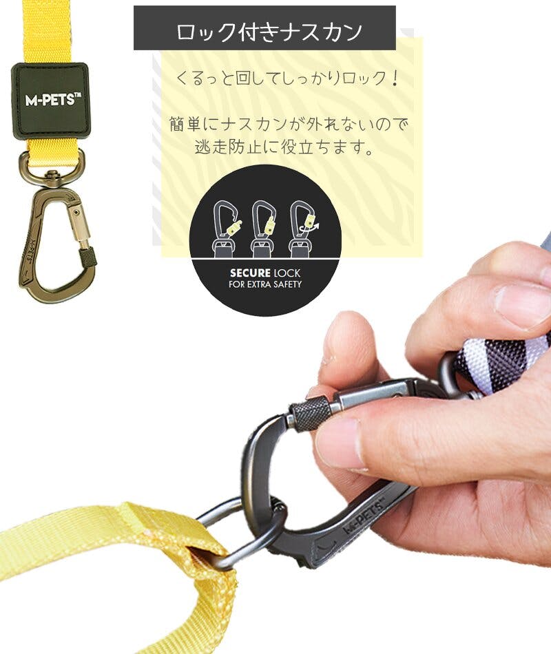 イタリア直接買付☆for pets onlyカラー＆リードセット その他 | 小型犬用のブランドペット用品・グッズ通販 I glow