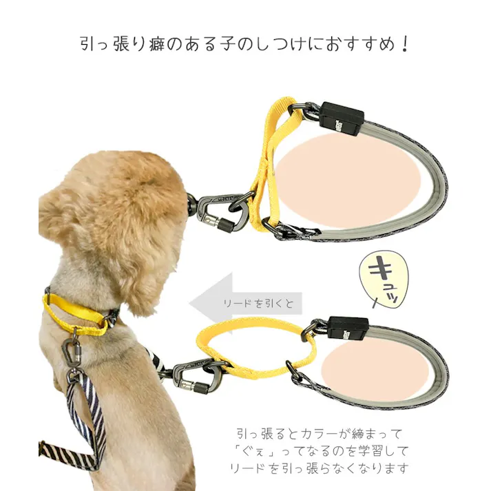 M-PETS WILD SAFARI カラー S ハーフチョーク お手入れ簡単 しつけ 6953182725923【別送品】