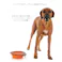 M-PETS ON THE ROAD Foldableボウル M オレンジ&ブラウン カラビナ付 持ち運び便利 丈夫素材 6953182729815【別送品】