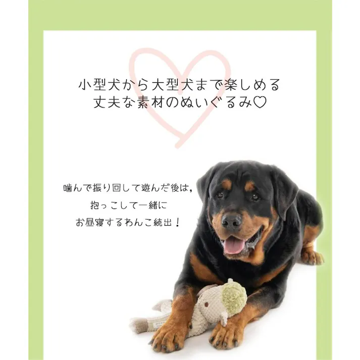 M-PETS ECOドッグトイ ヒツジのロキ 歯磨き効果 大型犬 あご乗せ枕 6953182735090【別送品】