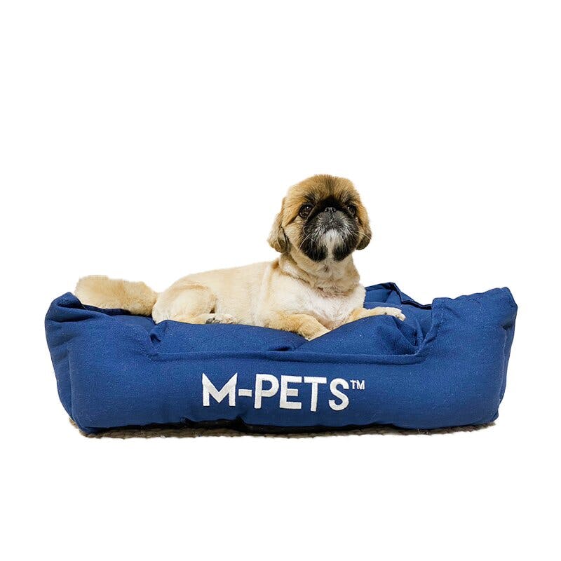 M-PETS EARTH ECOバスケット S ブルー 6953182739487 その他ペットベッド M-PETS EARTH ECOバスケット S ブルー 6953182739487 その他ペットベッド