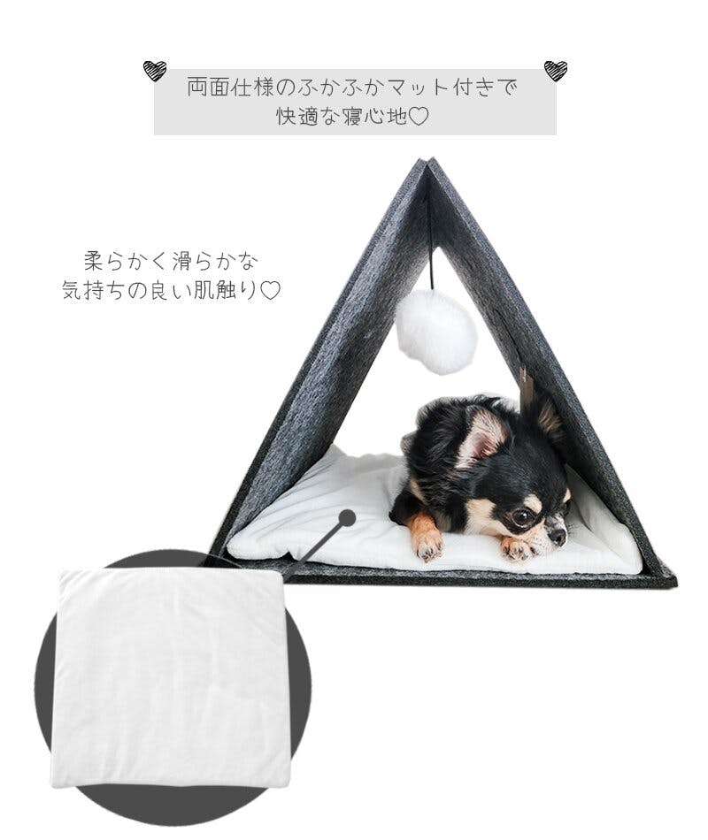 1枚、臆病な犬カレッジキャンバスプリント、30.48x45.72cm、フレームレ Pets – Canvare | Canvas Prints