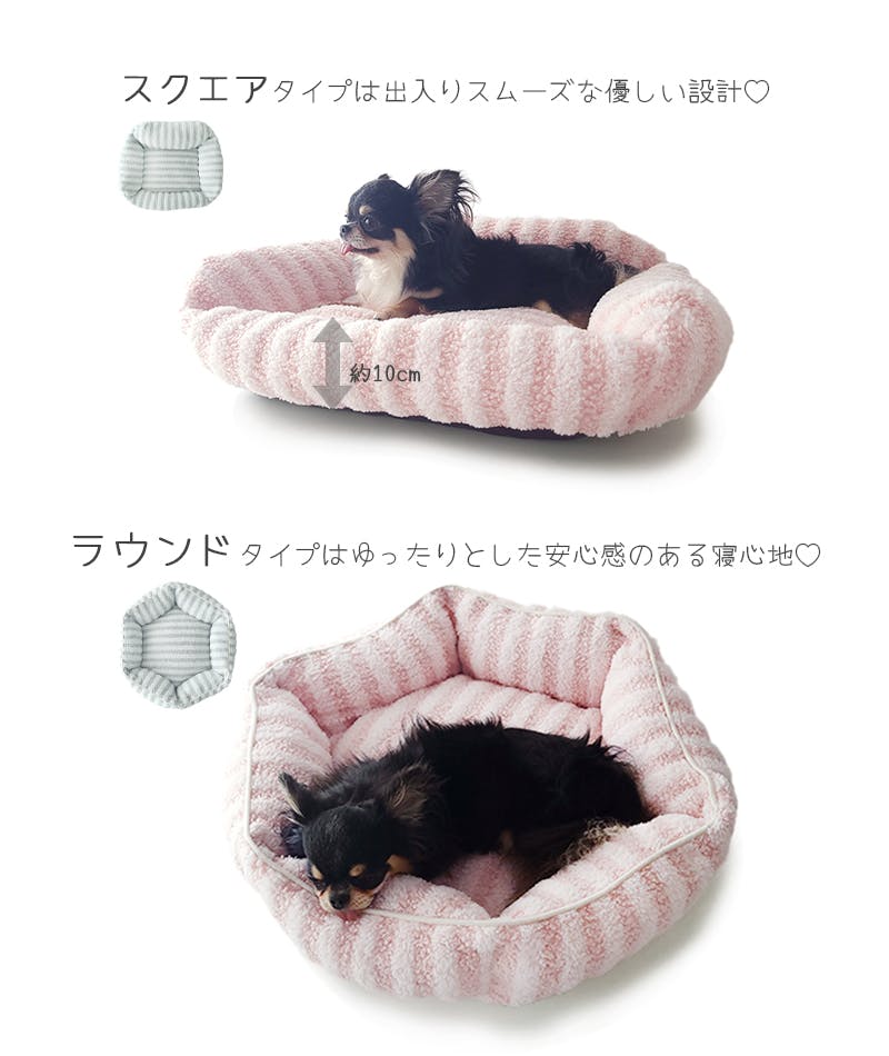 専用⭐限定…超スリム⭐みかん＊特価⭐ひんやり冷感ガーゼタオル⭐アニマル＆ドット⭐ Amazon.co.jp: アッシュコンセプト(h concept) プラスディー(+d