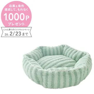 Petifam CottonCandyベッド ラウンド グリーン ペットベッド ペットベッド ふわふわ 弾力性 4580756815128【別送品】