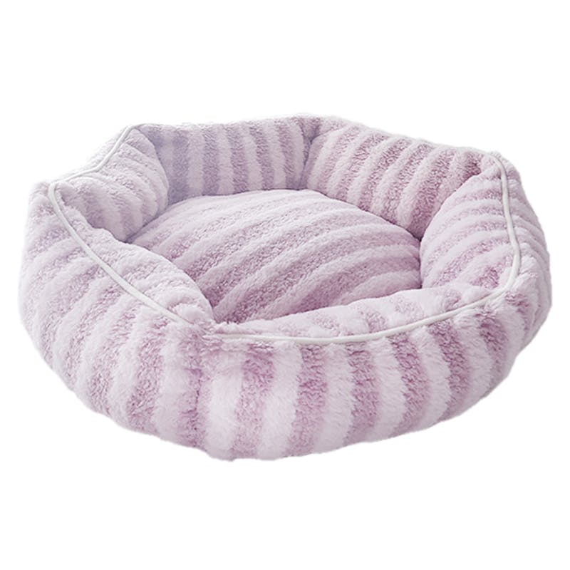 Petifam CottonCandyxbh Eh p[v ybgxbh ybgxbh ӂӂ e͐ 4580756815142 ybgxbhiJh[Etj