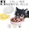Petifam 肉球フードボウル S ホワイト 電子レンジ可 陶器 早食い防止 4580756815418【別送品】