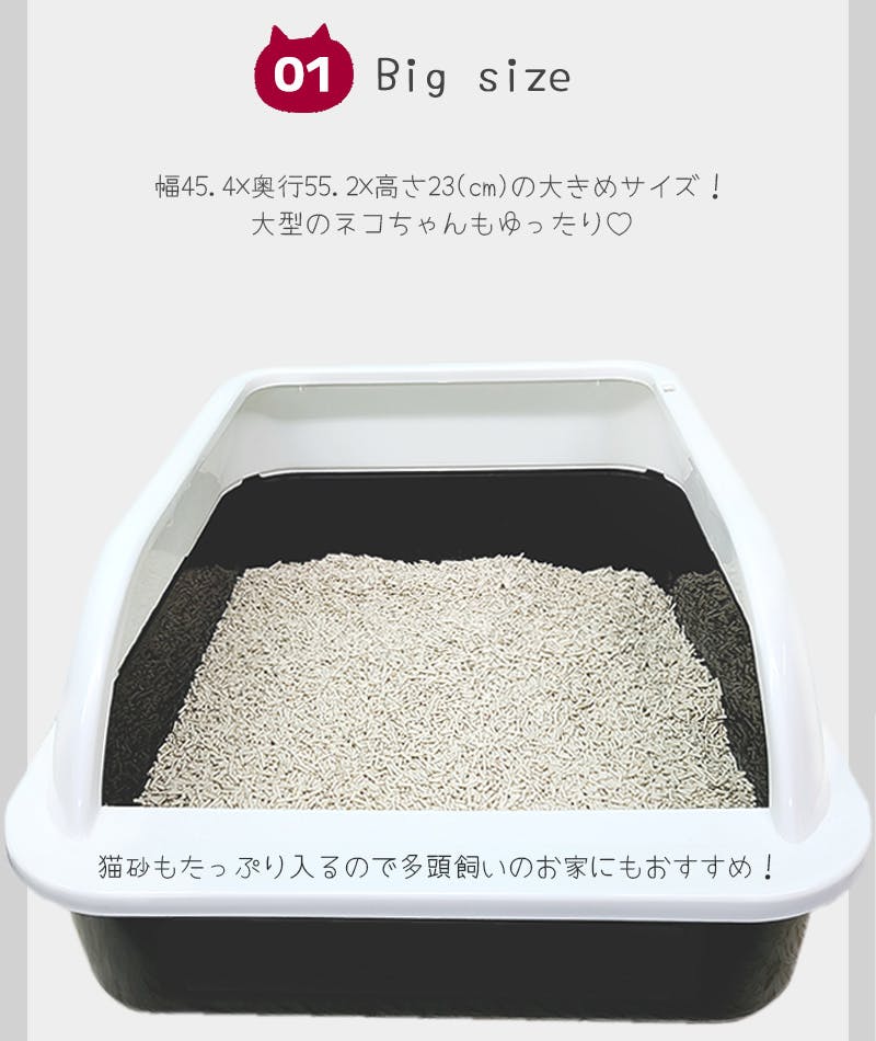 【断捨離はじめました！】さん専用　ラー&オベリスク 断捨離はじめました！】さん専用 ラー&オベリスク Time and