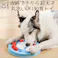 M-PETS BRAINY GAMES アインシュタイン 犬用おもちゃ 知育トイ お手入れ簡単 6953182713197【別送品】