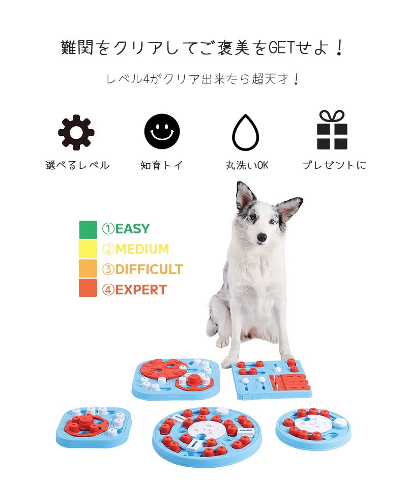 M-PETS BRAINY GAMES アインシュタイン 犬用おもちゃ 知育トイ お