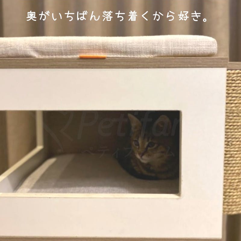 M-PETS リチャードキャットタワー 隠れ家 省スペース 爪とぎ付き