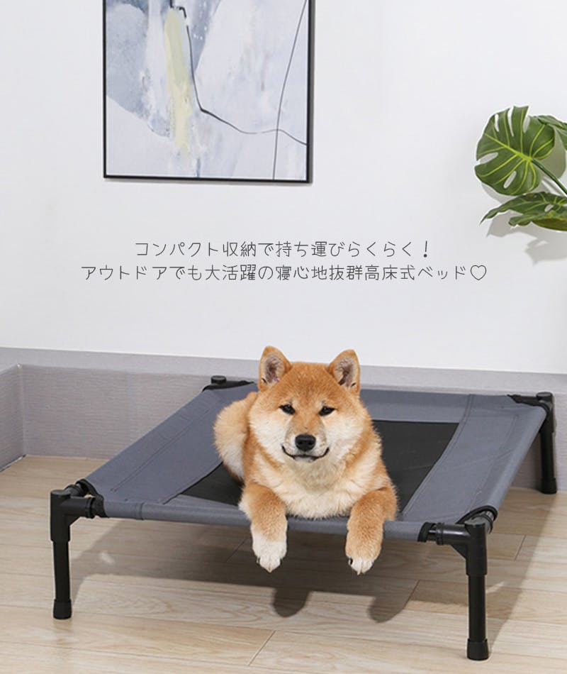 アルケミエ 犬啼 2本セット EZ-Q キャスト 喰わせ 2.5号 – フィッシングマックス WEBSHOP