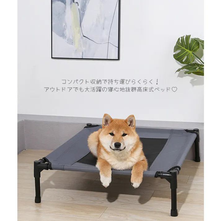 M-PETS ELEVATEDドッグベッド M ペットベッド 通気性 高床式 6953182741244【別送品】