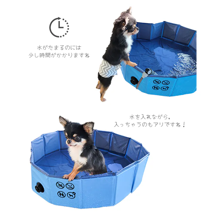 M-PETS PLUFスイミングプール S 犬用おもちゃ コンパクト収納 空気入れ不要 6953182743590【別送品】