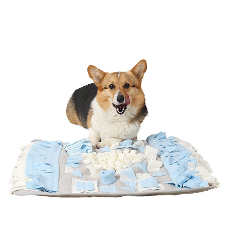 M-PETS STRATEGEスナッフルマット スクエア ブルー 犬用おもちゃ 6953182744276 トリーツ玩具 M-PETS STRATEGEスナッフルマット スクエア ブルー 犬用おもちゃ 6953182744276 トリーツ玩具