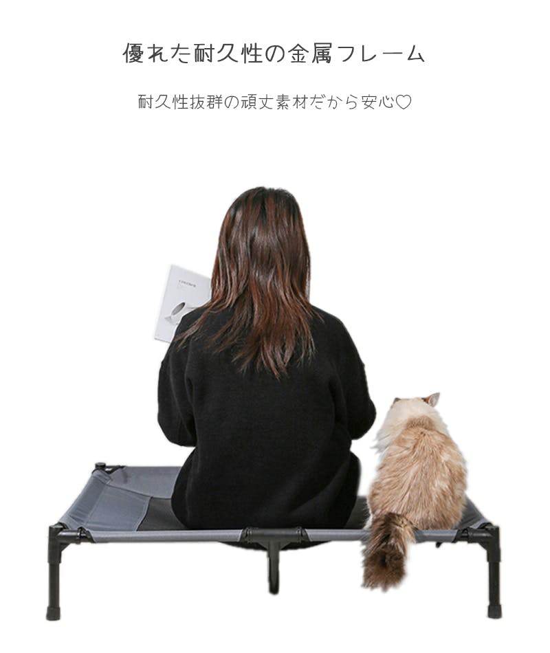1枚、臆病な犬カレッジキャンバスプリント、30.48x45.72cm、フレームレ Pets – Canvare | Canvas Prints
