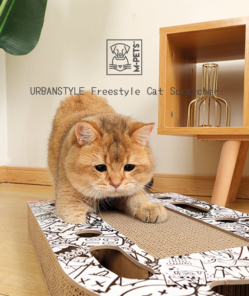 Fastlie キャップ 猫デザイン d701ddfaccbe77313590876db2adb5