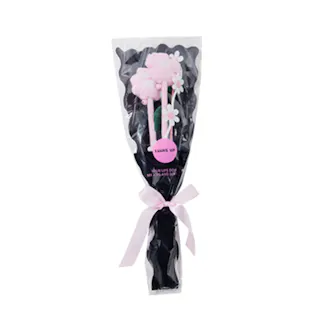 LUUKS UP Flower Bouquet Cat Teaser Pink 猫用おもちゃ 猫じゃらし 6953182750680【別送品】