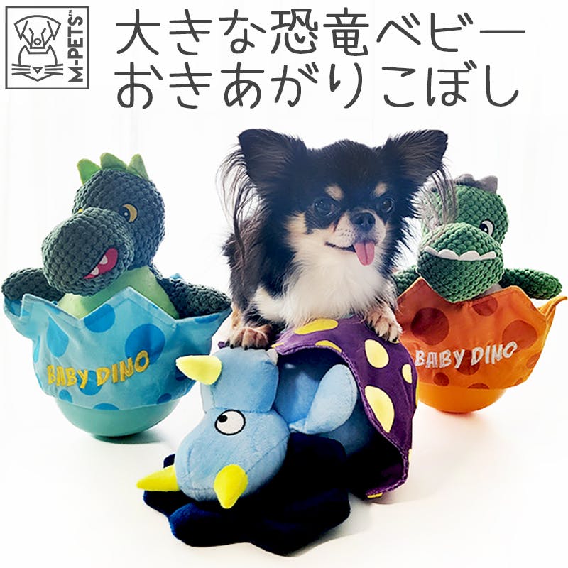 犬と遊ぼう ディスクドッグ ステップアップ編：未使用品DVD ペット教育「犬と遊ぼう ディスクドッグ ベーシック編／ステップ