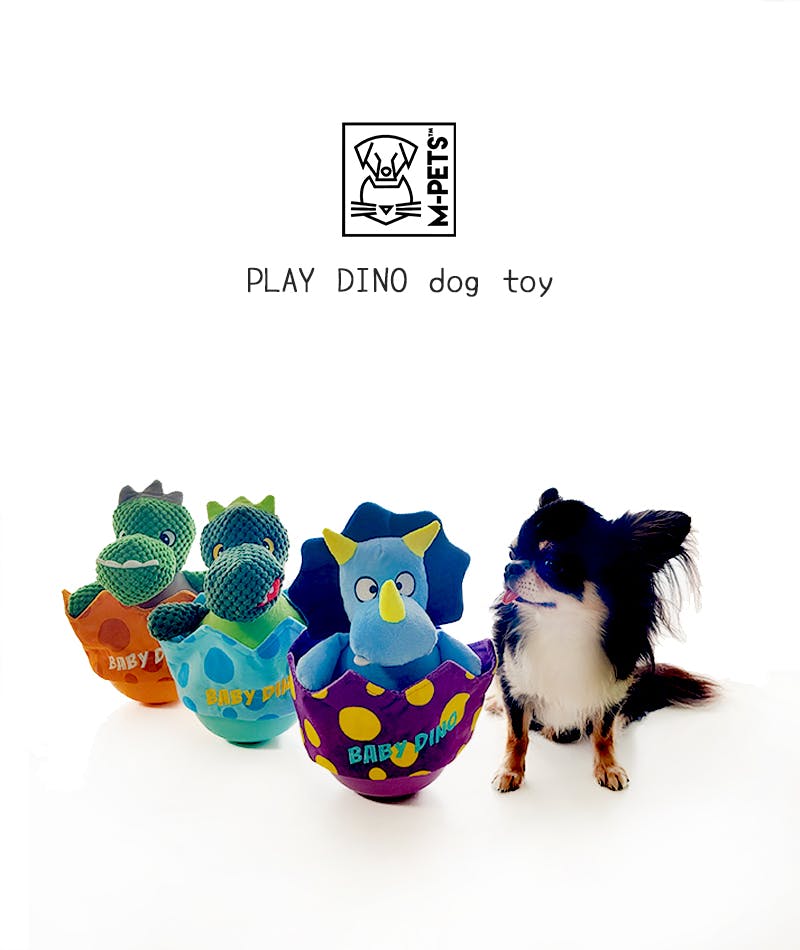 ☆プロフ必読！　どんこぬるぬるおちゃめがお☆145/80R12　ナット付き ヨコハマタイヤ n_ヨコハマ 145R12 6PR(145/80R12 80/78N同等