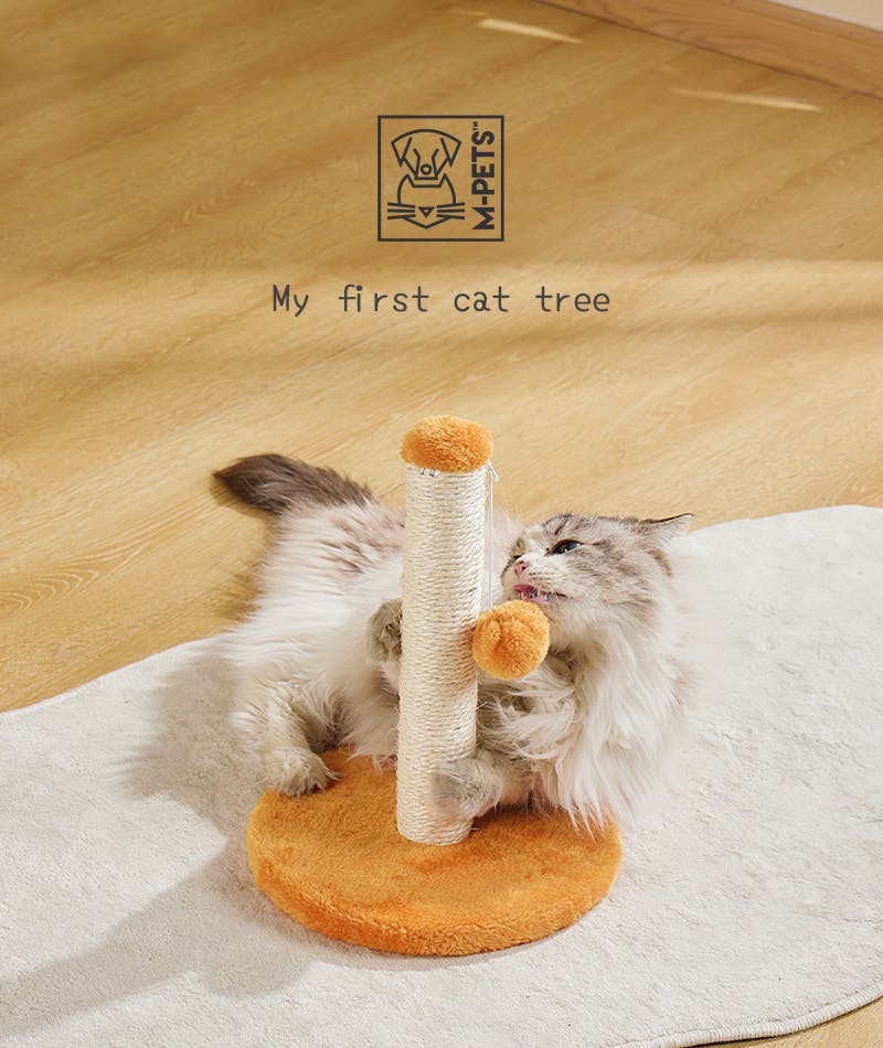 M-PETS My firstキャットツリー フェザー XS ホワイト 爪とぎ 子猫