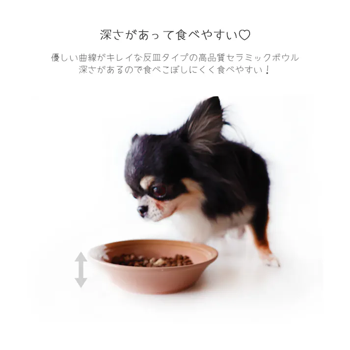 M-PETS PETJOY Flattyセラミックボウル 500ml PURPLE 犬猫食器 レンジOK プレゼント 6953182759829【別送品】