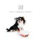 M-PETS PETJOY FeedMeWowボウル PetFamily 犬猫食器 陶器 小型犬 6953182759843【別送品】