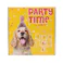 M-PETS Party time DOG レディースセット 犬用おもちゃ パーティ 飾り付け 6953182760443【別送品】