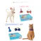 M-PETS Party time CAT レディースセット 猫用おもちゃ 飾り付け パーティー 6953182760467【別送品】