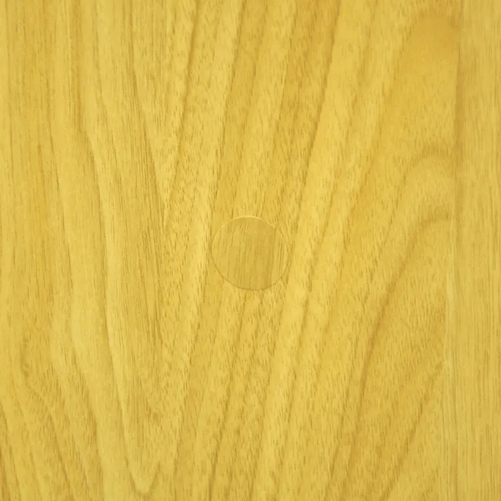 AIS エイアイエス 2ドア収納ボックス 本棚 収納ラック リビング 子供部屋 事務所 おもちゃ収納 本の収納 学童品収納 木製 GTBX-002【別送品】