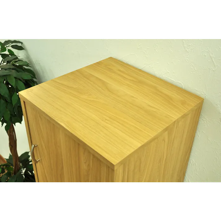 AIS エイアイエス 4ドア収納ボックス 本棚 収納ラック リビング 子供部屋 事務所 おもちゃ収納 本の収納 学童品収納 木製 GTBX-004【別送品】