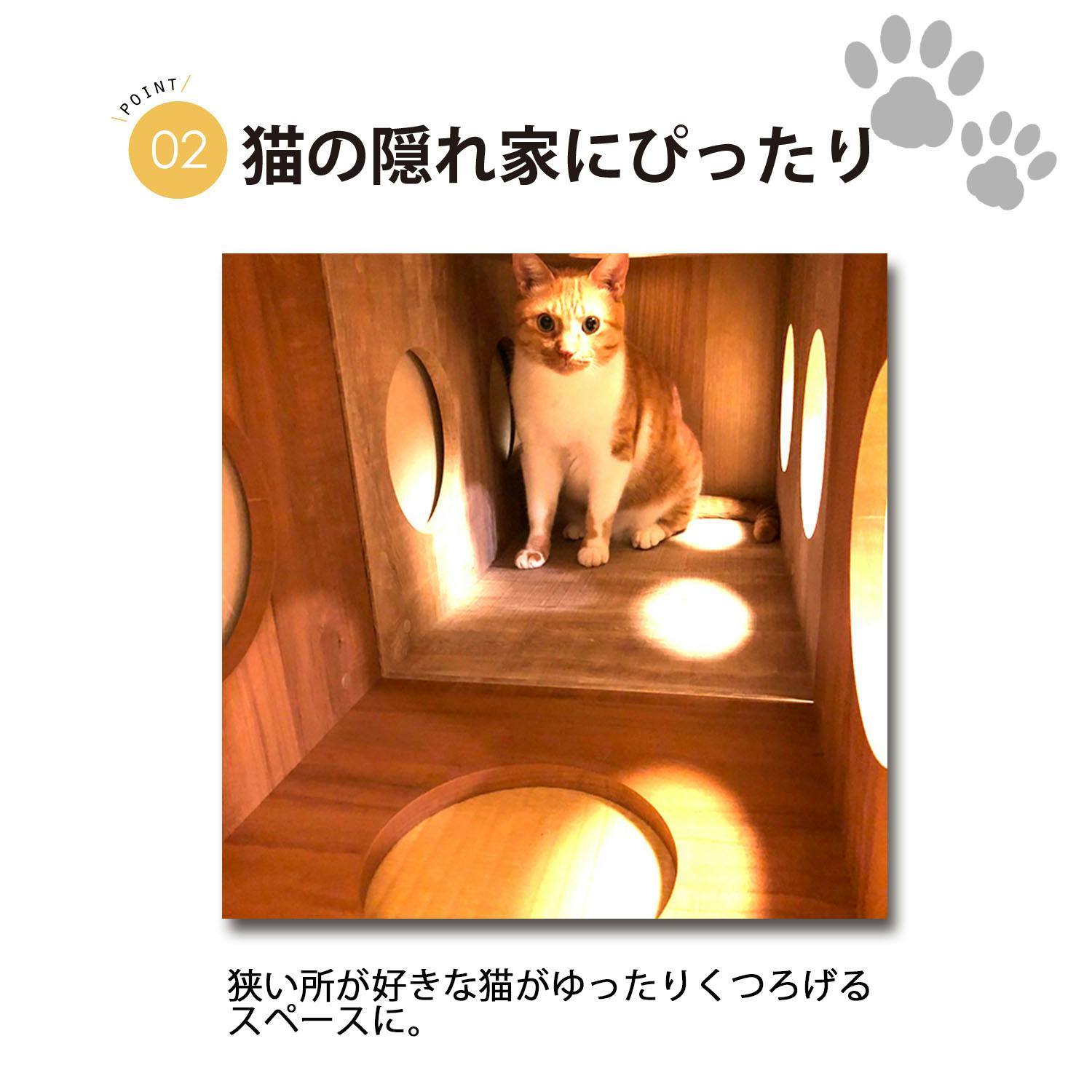 AIS エイアイエス オープンラックシステム猫ホーム 猫用ボックス 猫用