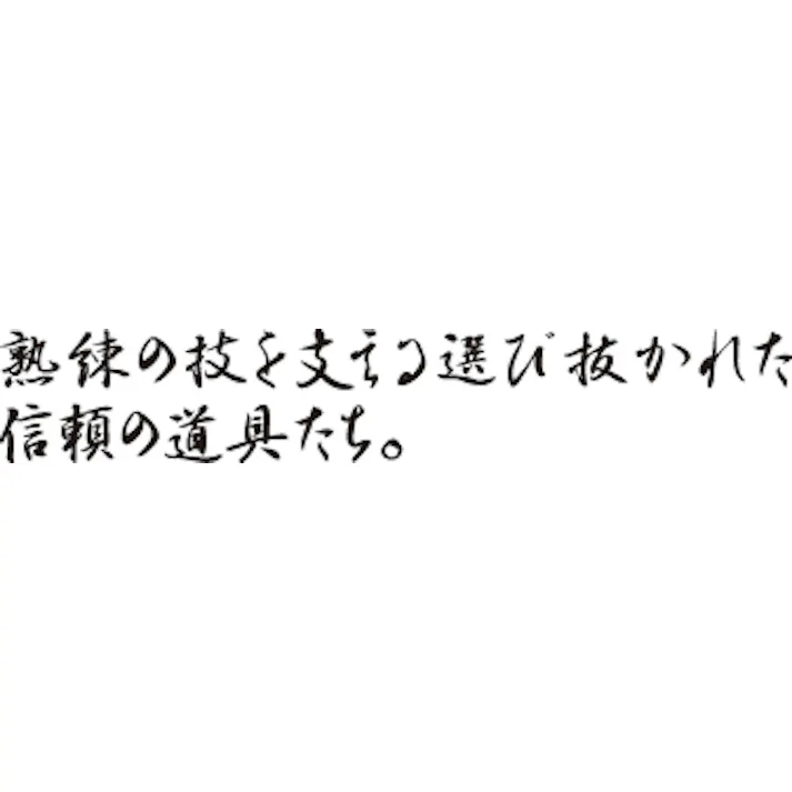 タマハシ 陳 建一 IH対応ステンレス両手鍋22cm 陳建一 IH100V・200V対応 料理 キッチン 鍋 なべ CK-066R【別送品】