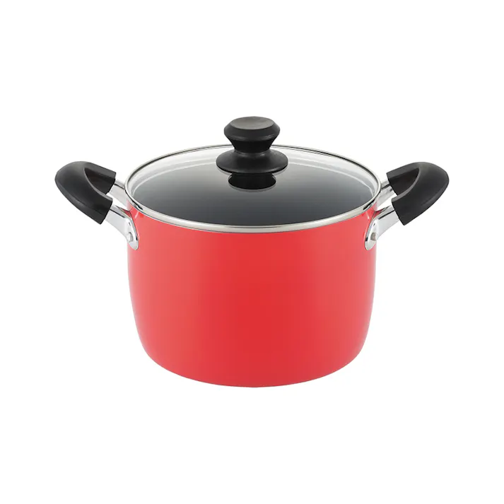 タマハシ ルピア IH対応シチューポット20cm IH100V・200V対応 料理 キッチン LU-20DR【別送品】