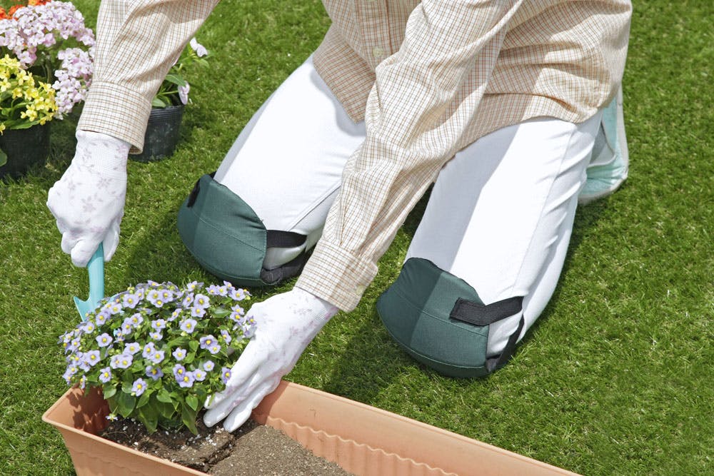 Z[uEC_Xg[ ӂЂK[h | Gی GNbV SV-5431 |pȋ