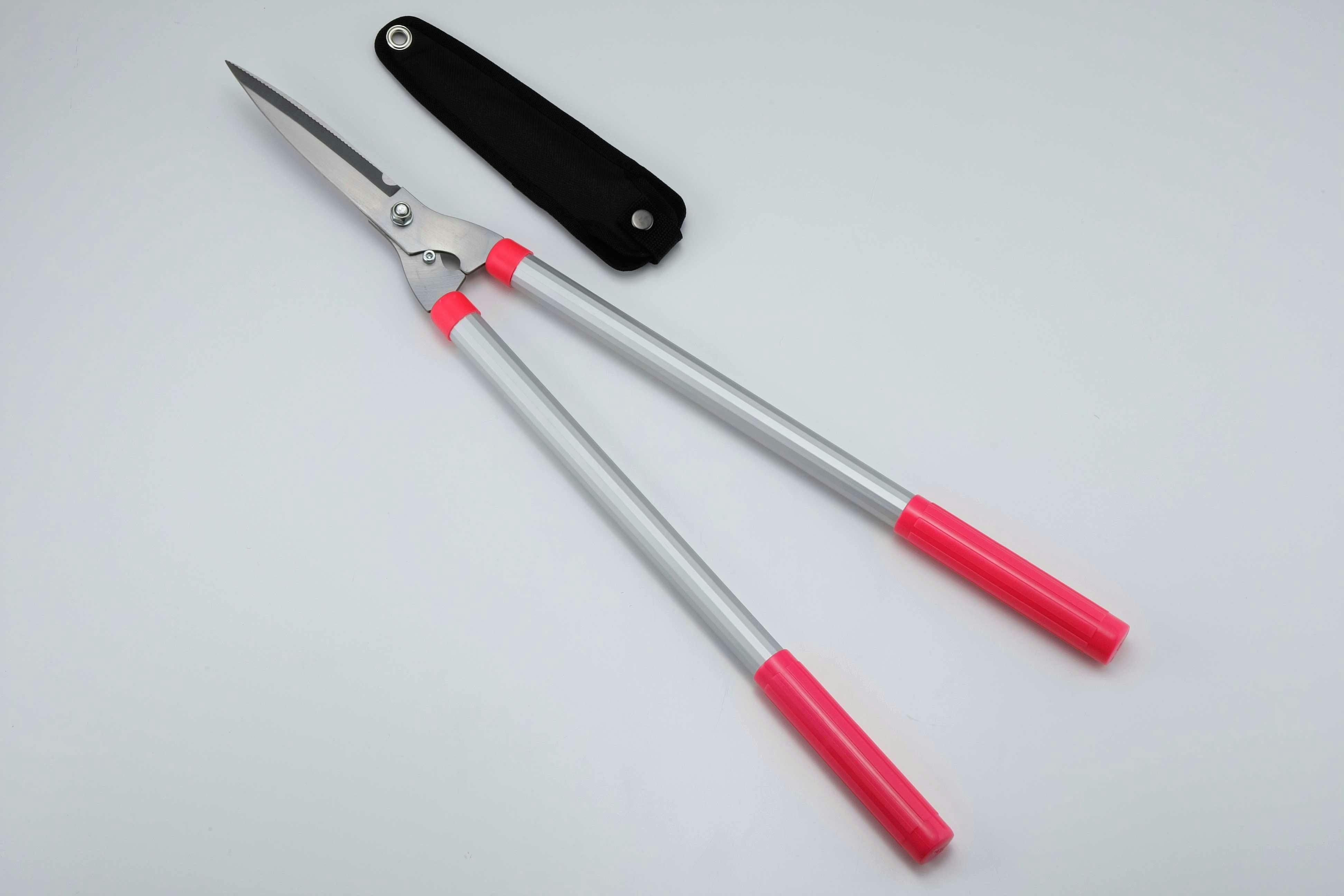 Z[uEC_Xg[ MUnŃNN!nT~ |   SV-5769 ΂݁E΂݁E